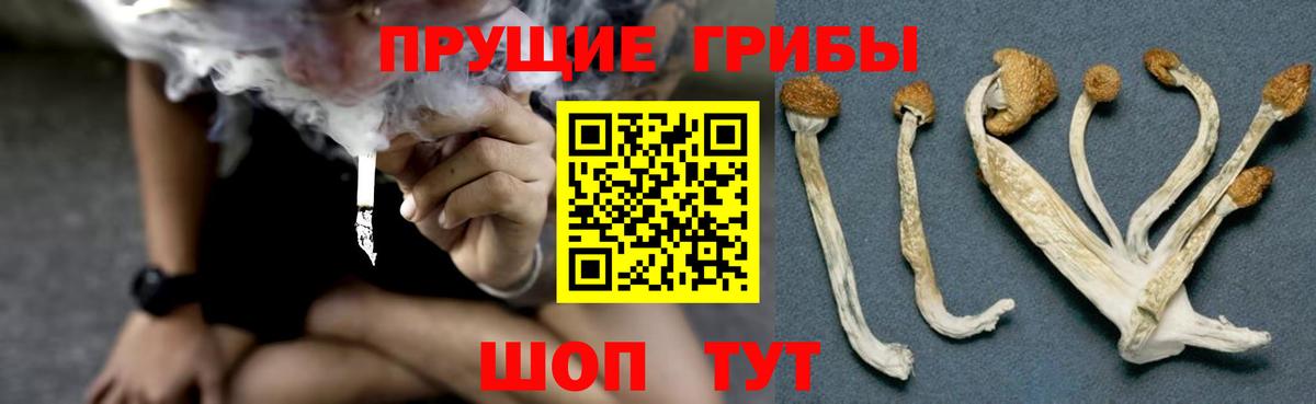 Галлюциногенные грибы прущие грибы  Псилоцибиновые грибы мицелий  Вход с VPN  Шелехов 